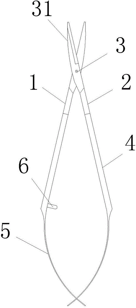 Tunica conjunctiva scissors