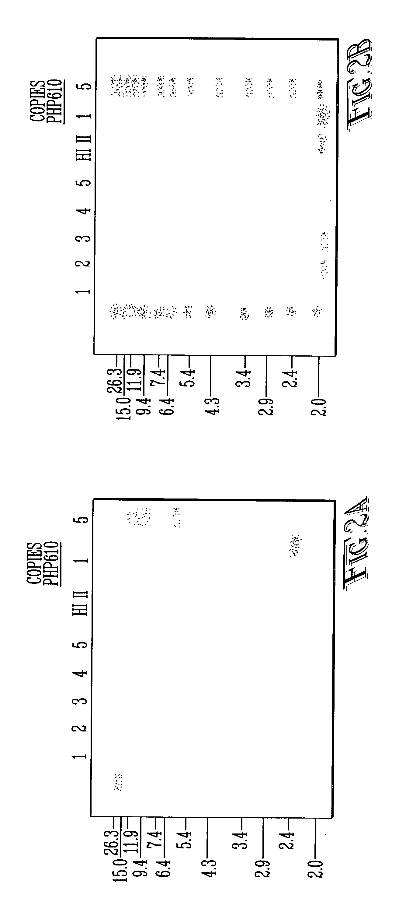 Methods of commercial production and extraction of protein from seed