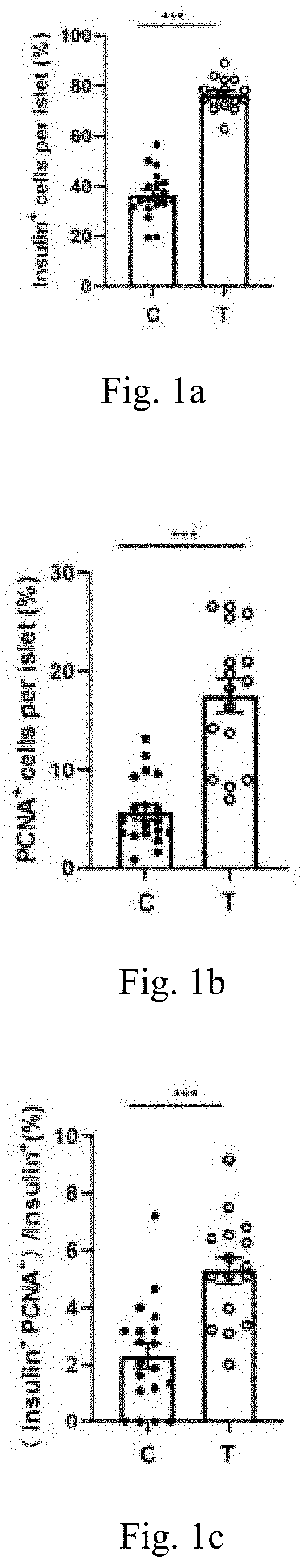 Composition for treating diabetes based on traditional Chinese medicine nutritional therapy and application thereof