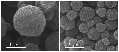 A kind of preparation method of wool spherical carbon/sulfur composite microsphere material and lithium-sulfur battery