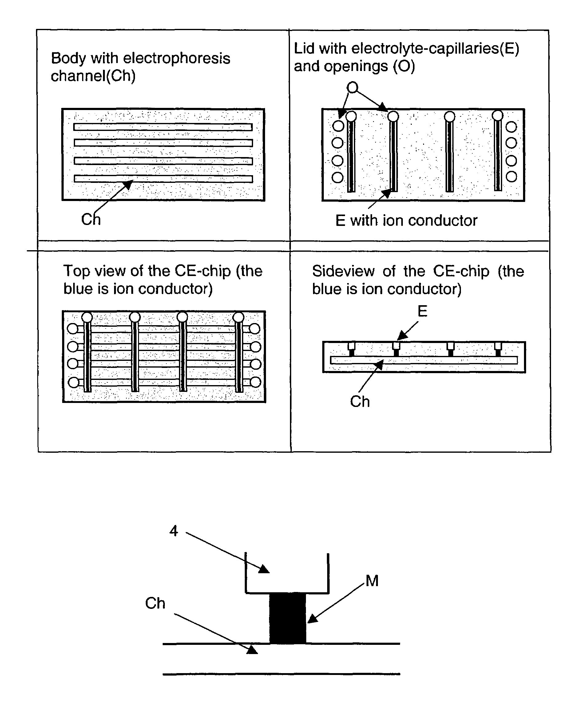 Electrophoretic separating device and method for using the device