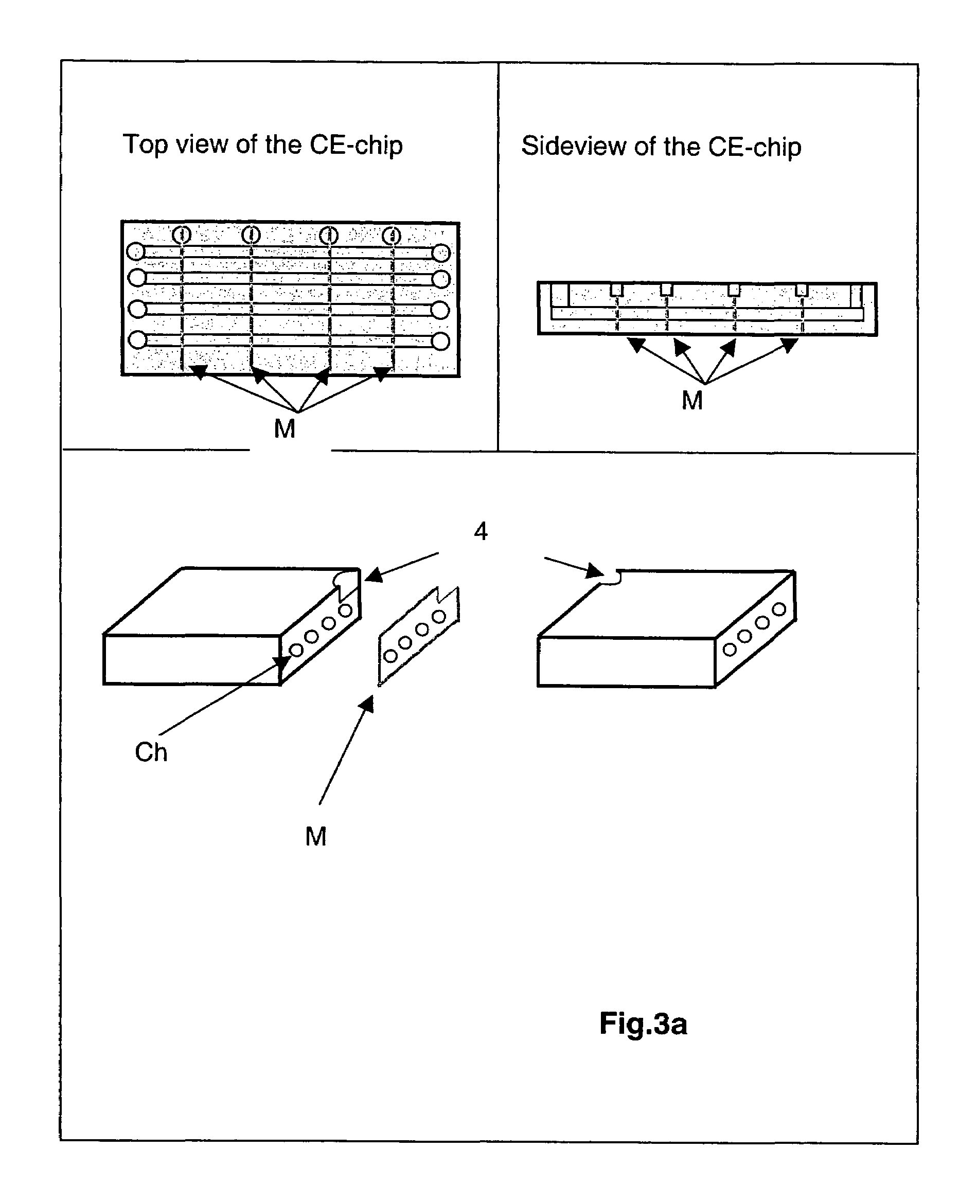 Electrophoretic separating device and method for using the device