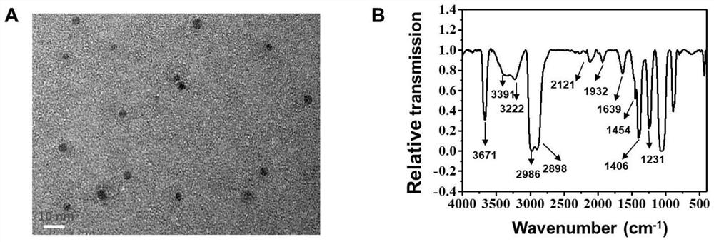 Preparation method of hexagonal macroporous hydroxyapatite as well as product and application of hexagonal macroporous hydroxyapatite