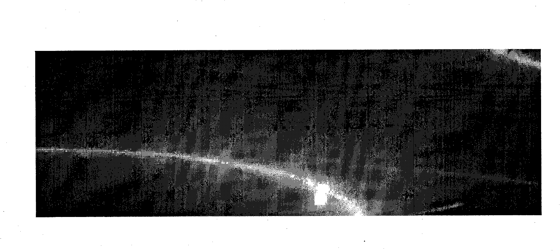 Macroscopic defect cold etching visualizing reagent