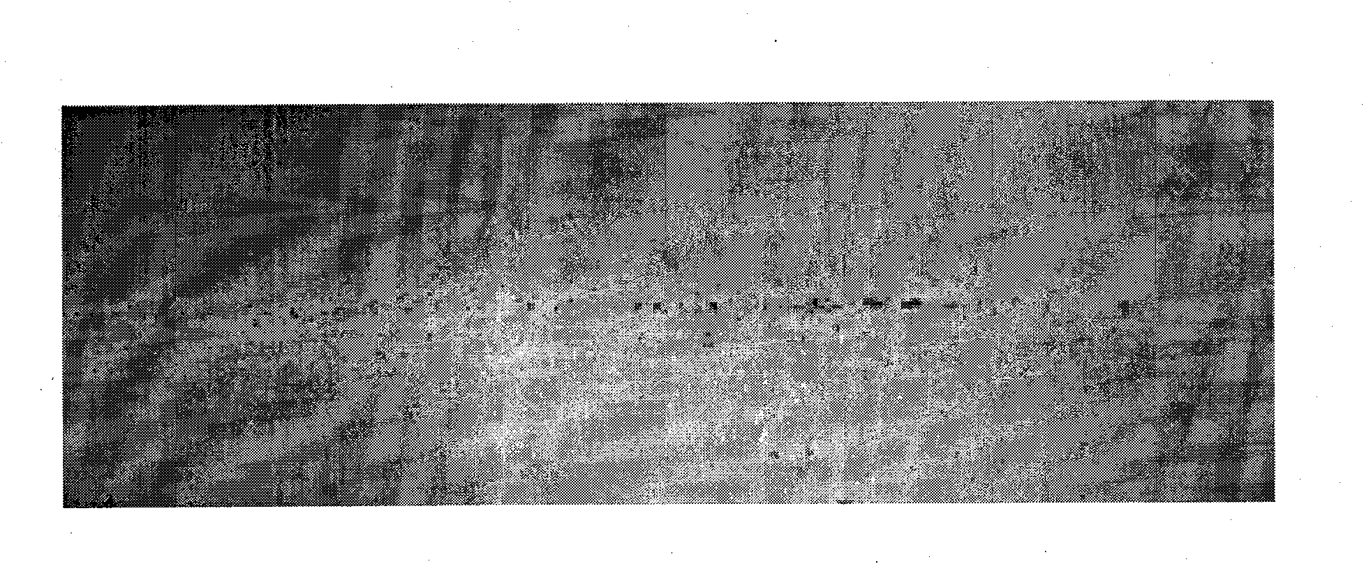 Macroscopic defect cold etching visualizing reagent