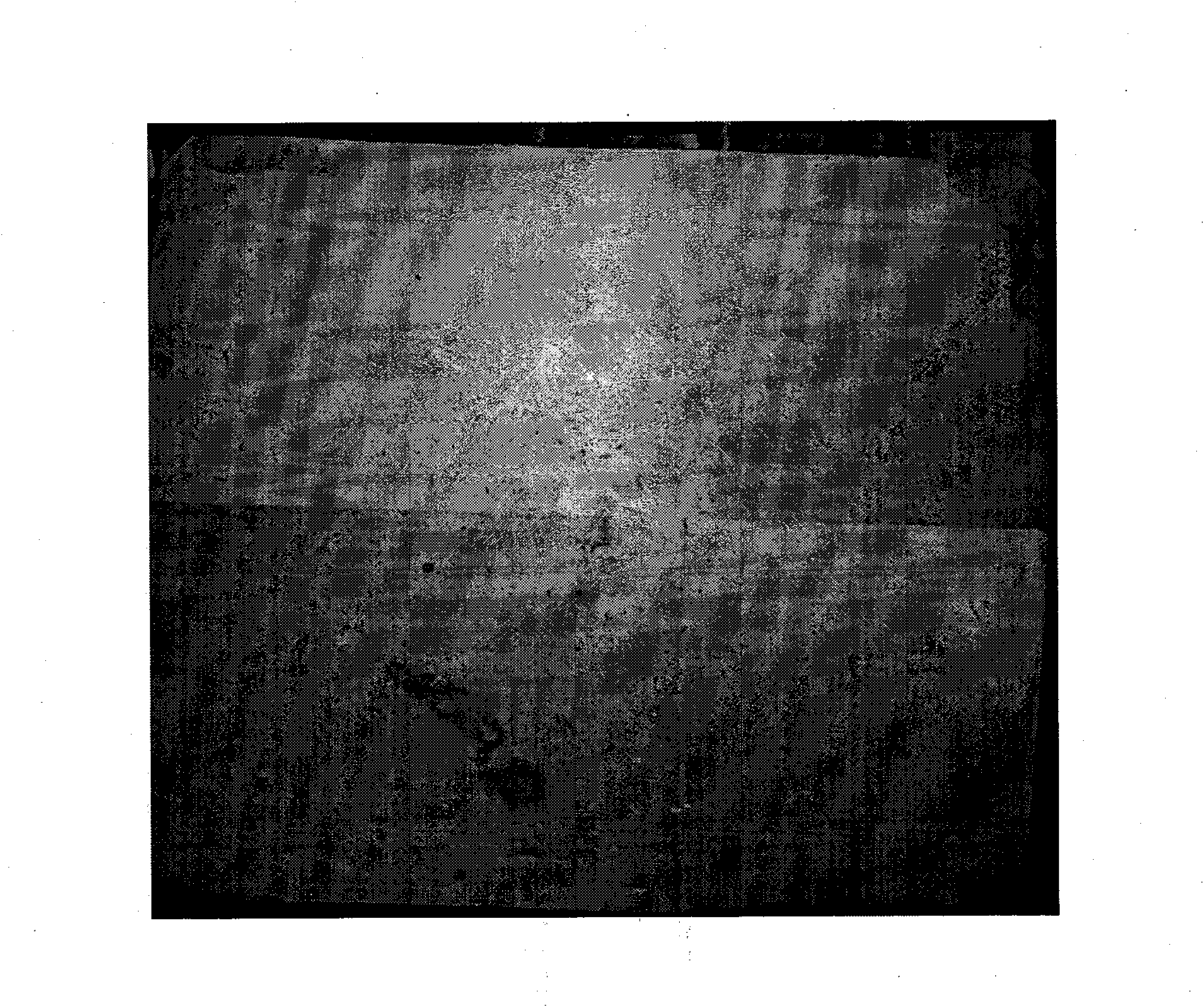 Macroscopic defect cold etching visualizing reagent