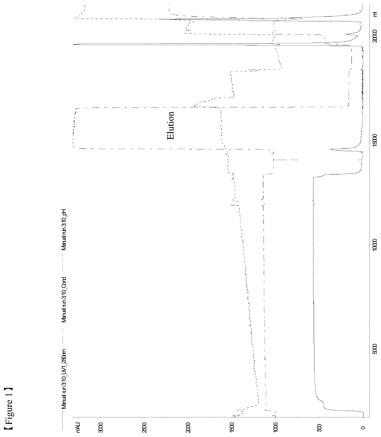 Method for purifying a sulfatase protein