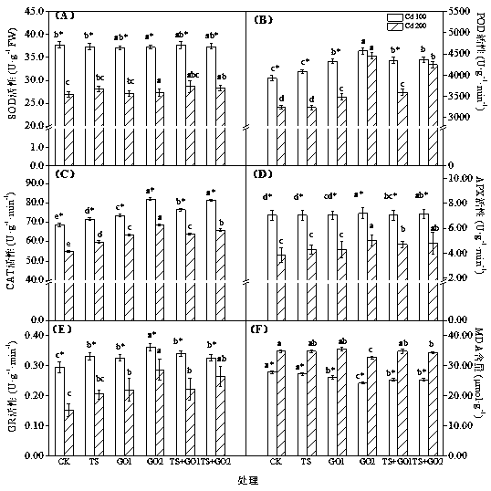 Method for regulating and controlling protective enzyme and malondialdehyde of festuca arundinacea under cadmium stress by using graphene-oxide-loaded and waste-based lawn nursery strip