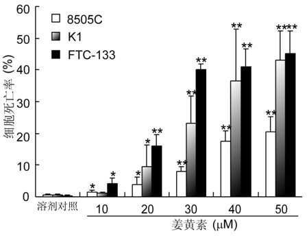 Application of curcumin in preparation of thyroid carcinoma therapeutic agent