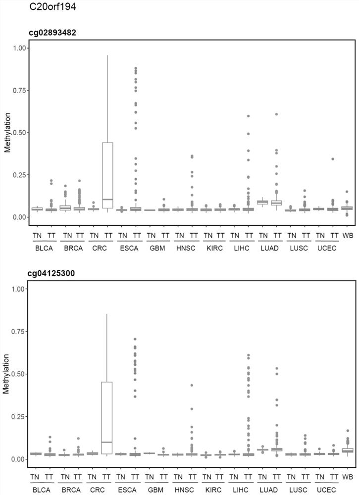 Methylation marker related to colorectal cancer and kit for detecting colorectal cancer