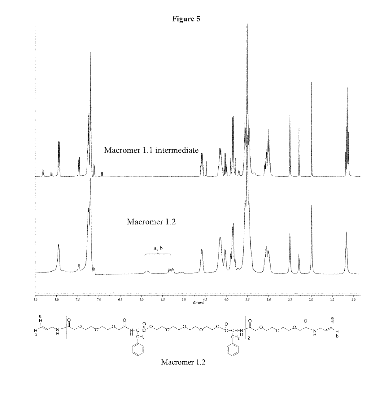 Poly(ester amide) macromers and polymers thereof