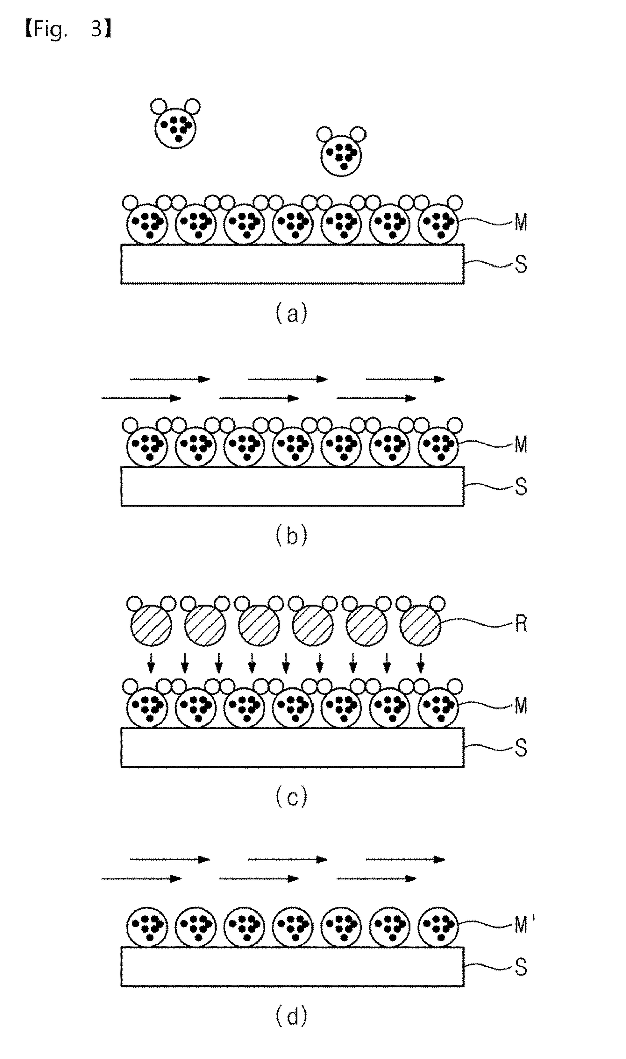 Pressurization type method for manufacturing metal monoatomic layer, metal monoatomic layer structure, and pressurization type apparatus for manufacturing metal monoatomic layer