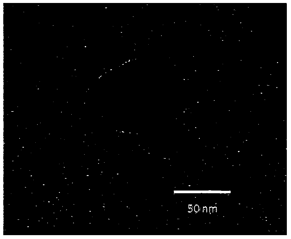 A kind of tumor naked-eye visible nano-tracer and its preparation method