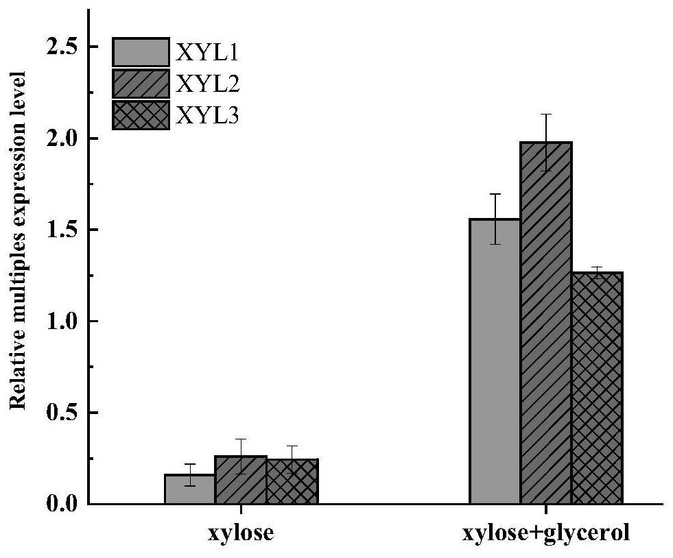 Yarrowia lipolytica engineering bacterium for producing triacetate lactone by using xylose and application of yarrowia lipolytica engineering bacterium