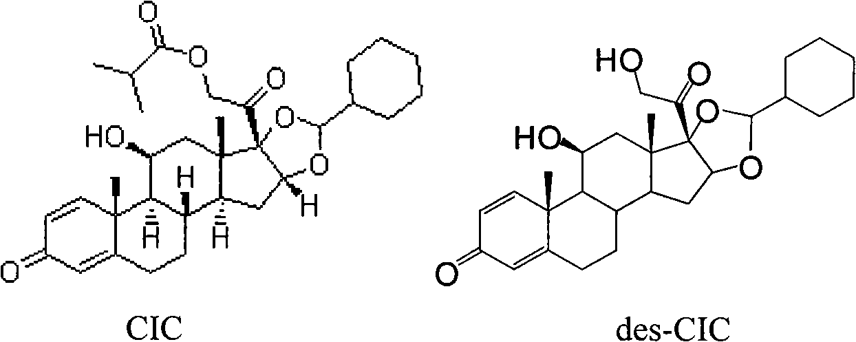 Ciclesonide nitrate derivative