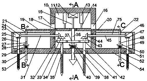 Traffic road detection device