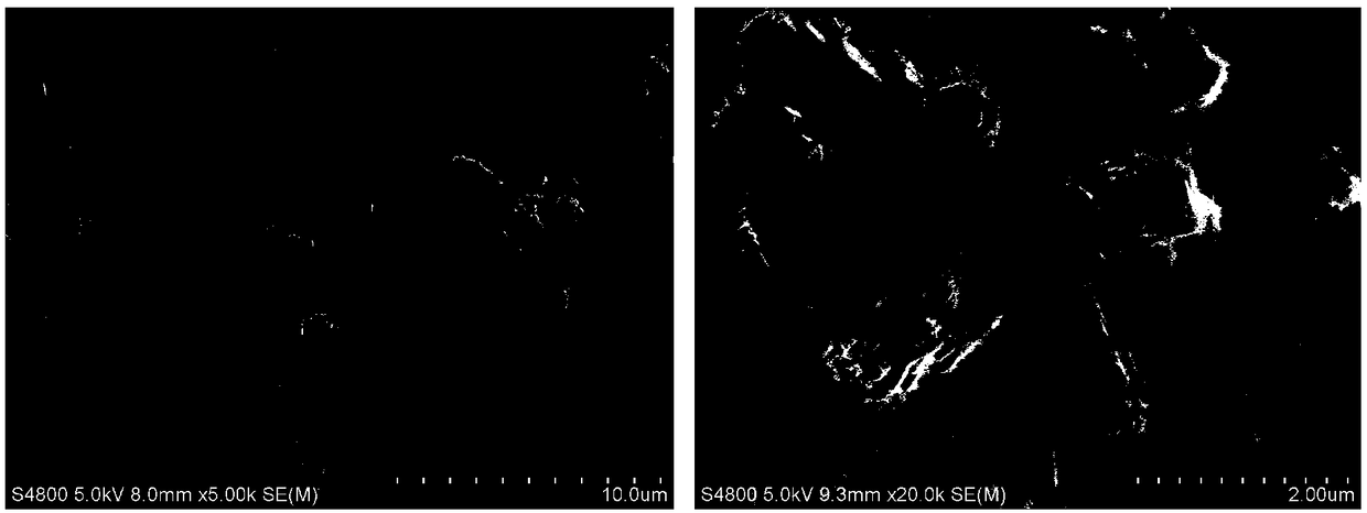 Co dendrite electrocatalyst directionally assembled by nanorods and preparation method of Co dendrite electrocatalyst