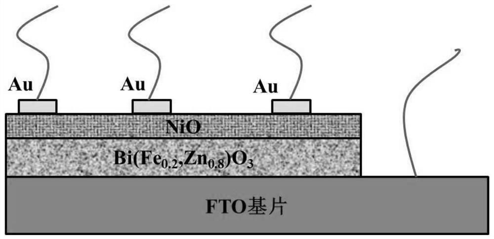 A bi(fe,zn)o for high-speed photodetection  <sub>3</sub> /nio all oxide thin film heterojunction