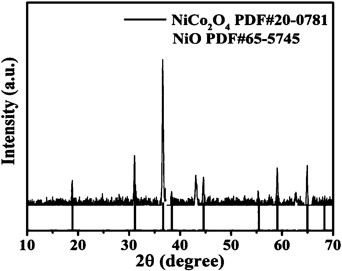High performance urchin-like nickel oxide/nickel cobaltate microsphere lithium oxygen battery positive pole catalytic material and preparation method thereof