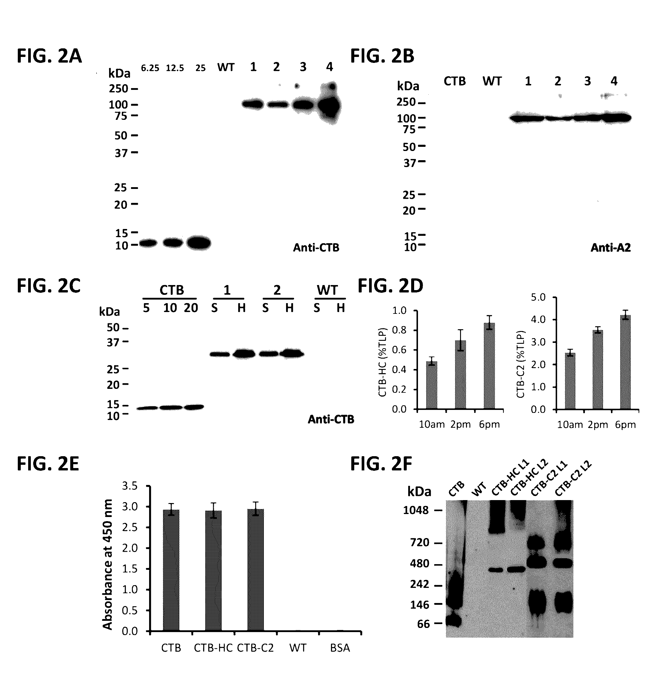 Compositions and methods for suppression of inhibitor formation against coagulation factors in hemophilia patients