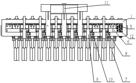 A precision seeder for Panax notoginseng