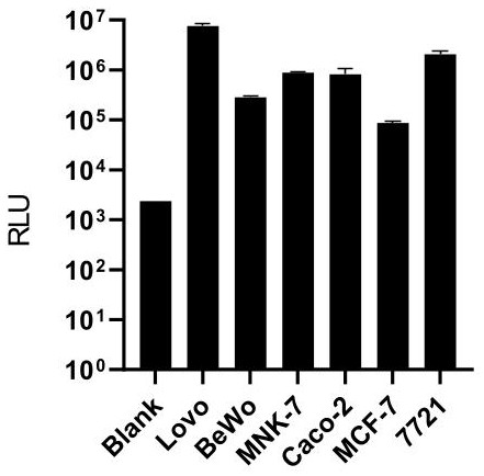 Method for detecting tumor cells or tumor cell debris