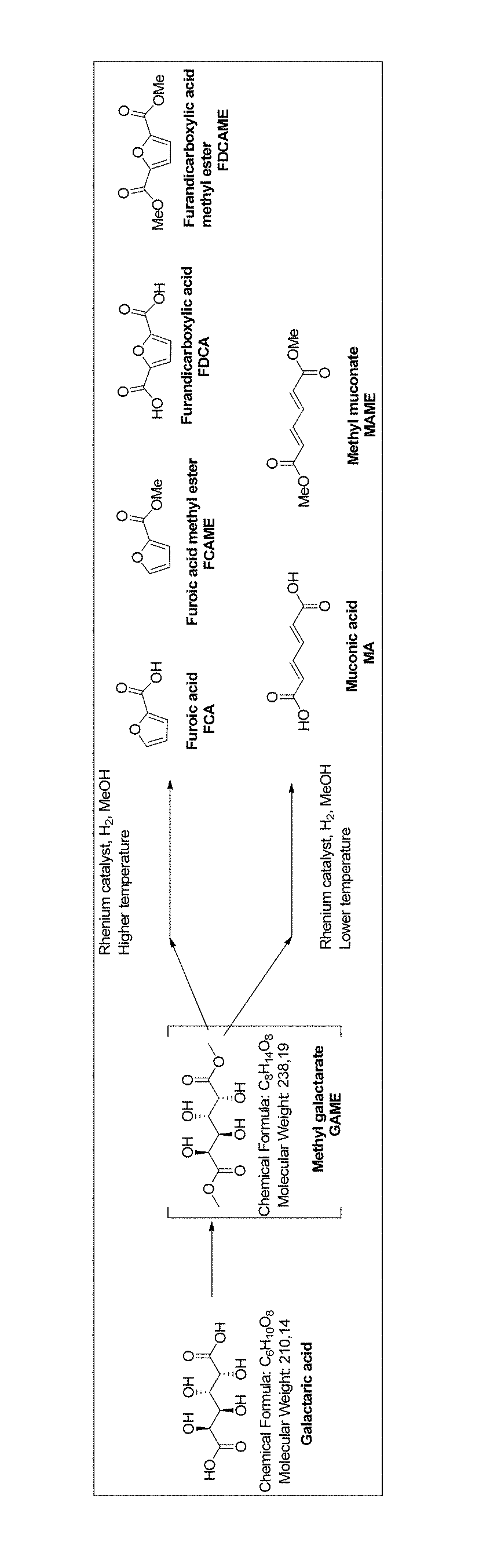 Method for producing muconic acids and furans from aldaric acids