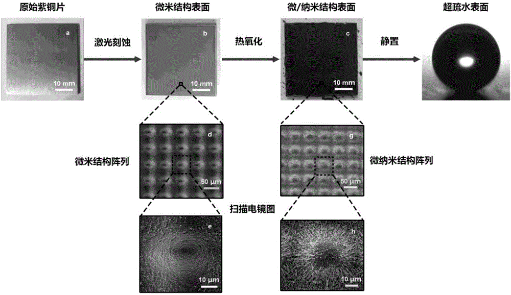 Micro-nanostructure controlled copper-based superhydrophobic surface and preparation method and application thereof