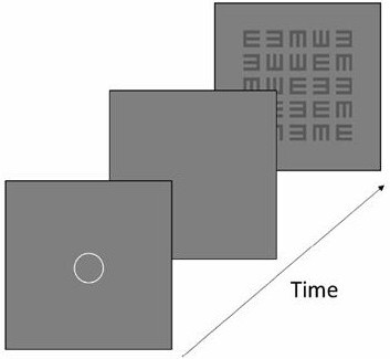 Visual training method to improve visual ability based on dynamic brain fitness