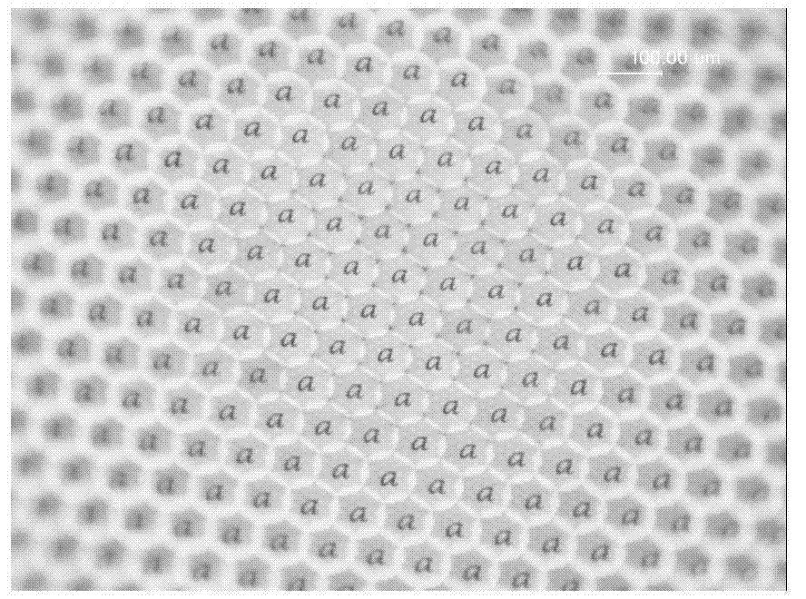 Micronano manufacturing method of compound eye structure micro lens array