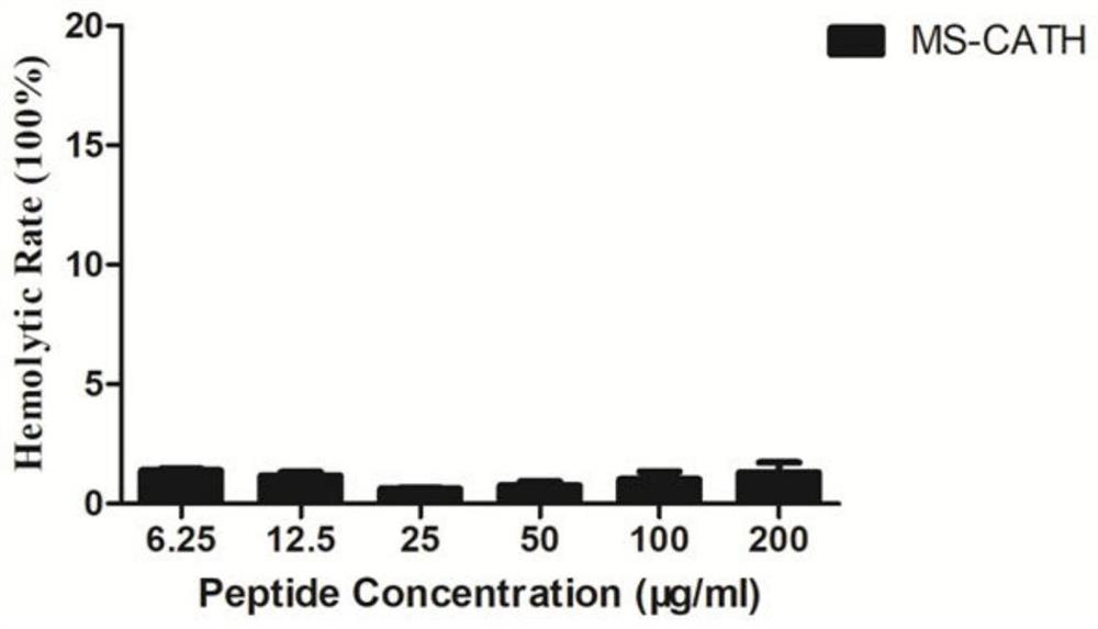 Antibacterial peptide MS-CATH from Miniopterus fuliginosus and application thereof