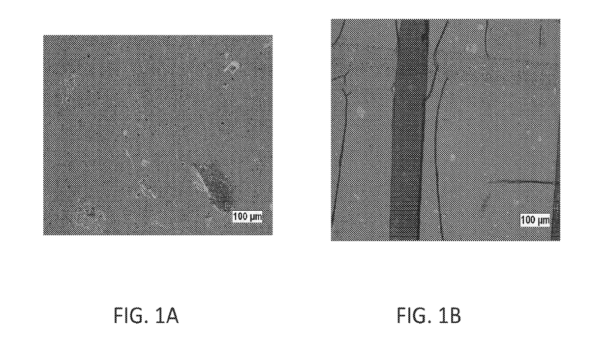 Reactive silica in epoxidized polybutadiener