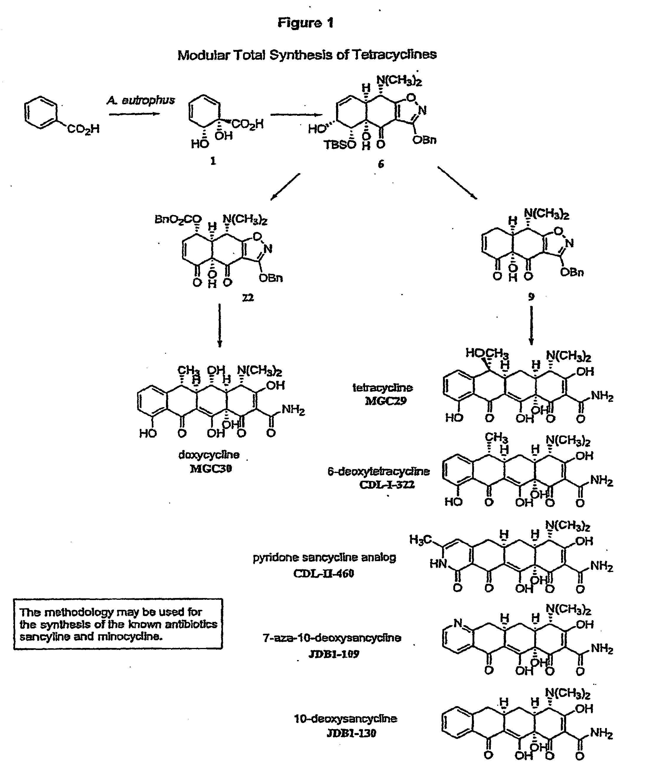 Synthesis of tetracyclines and analogues thereof