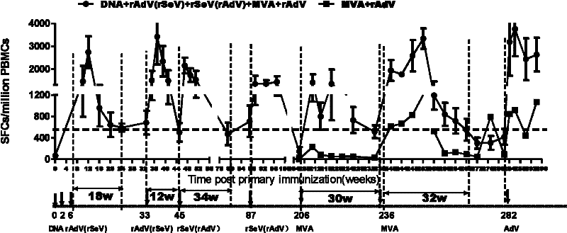 Sequential and repeated application of four or more HIV vector gene vaccines