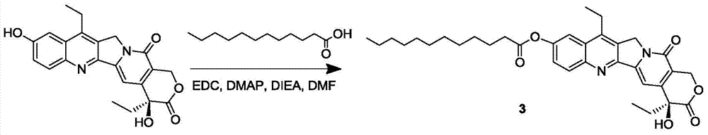 7-ethyl-10-hydroxycamptothecin prodrug and its preparation method and application
