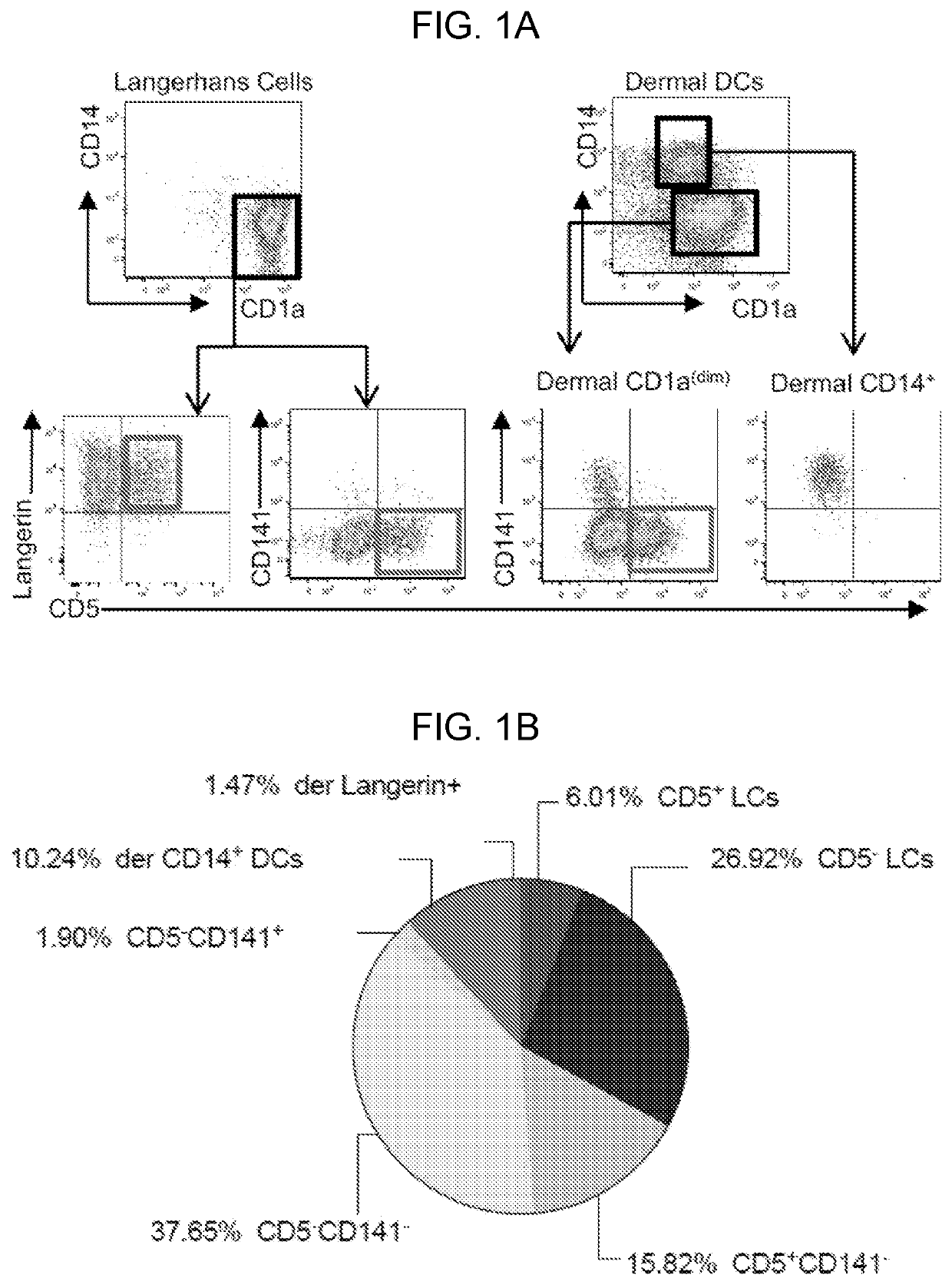 Detection of CD5 and methods and compositions for modulating CD5