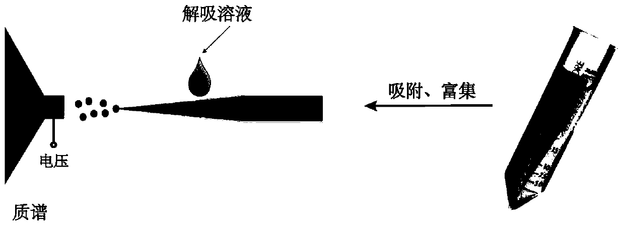 A surface-modified molecularly imprinted solid-phase microextraction probe and its preparation and application