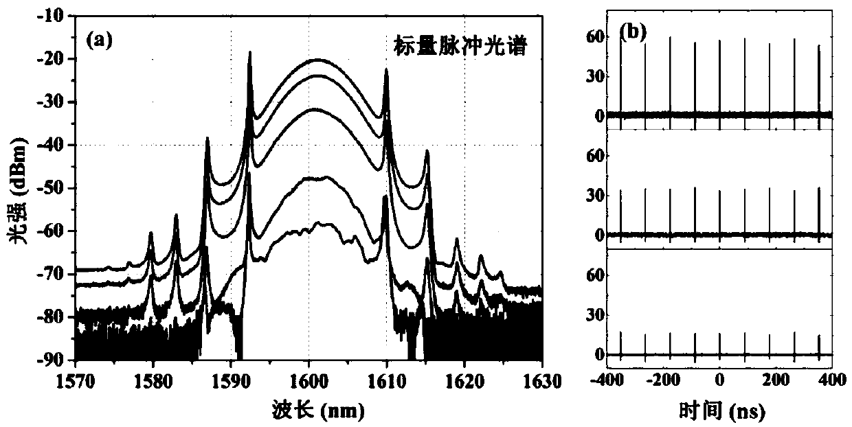 A fiber laser source with vector scalar pulse bidirectional output