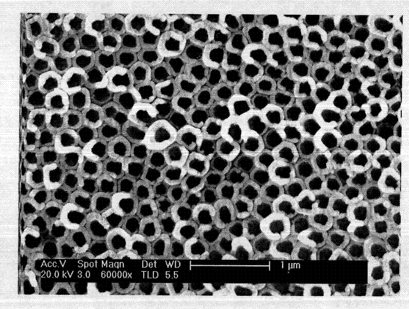 Functional artificial joint on surface of cerium-loaded nanotube array and preparation method thereof