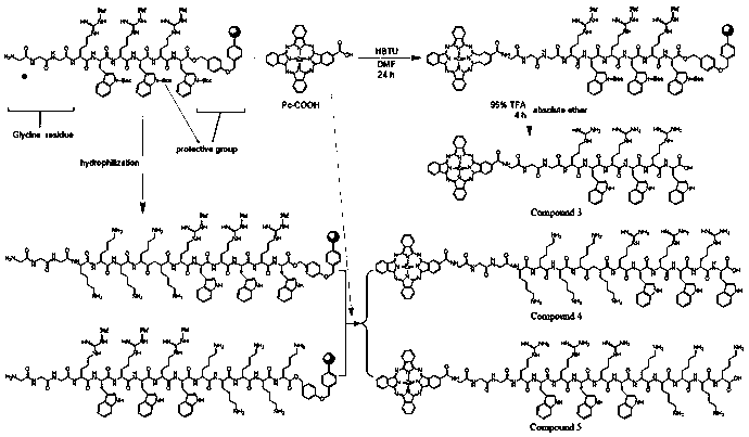 Preparation and application of modified peptide