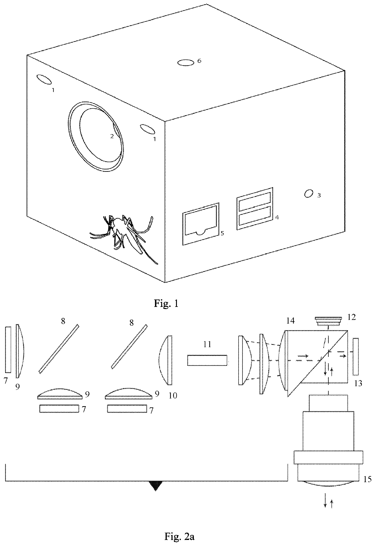 Device for interfering in the visual navigation capability of organisms