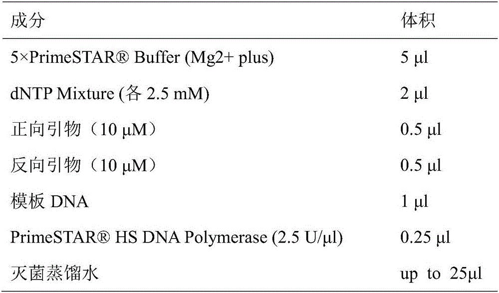 Molecular identification method and identification primer for Dalbergia odorifera T. Chen and Dalbergia rimosa Roxb.