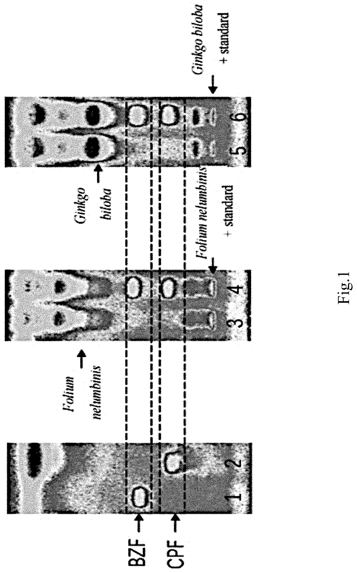 Method for screening adulteration of fibrate Anti-hyperlipidemia chemicals in tea by combined method of high performance thin layer chromatography and bioluminescence