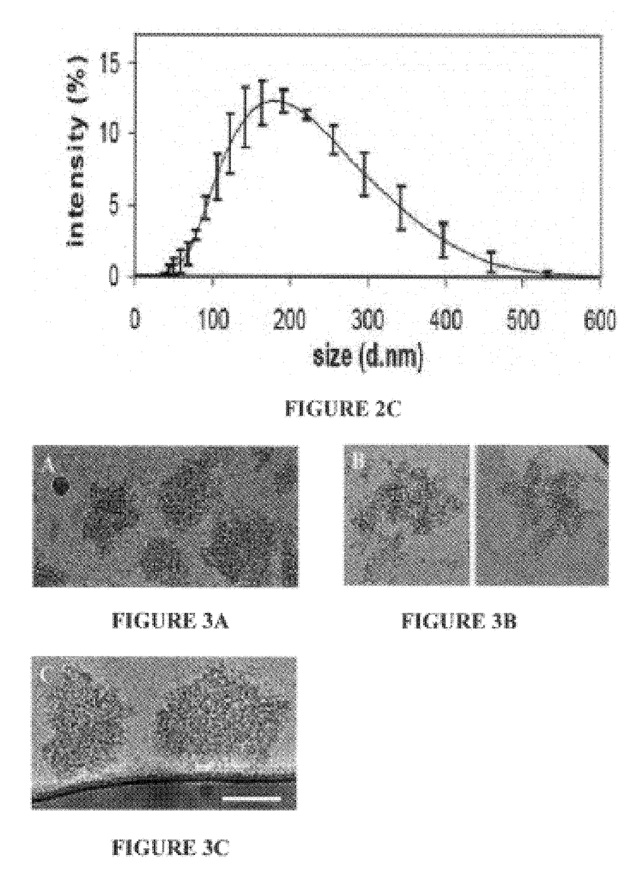 Casein micelles for nanoencapsulation of hydrophobic compounds