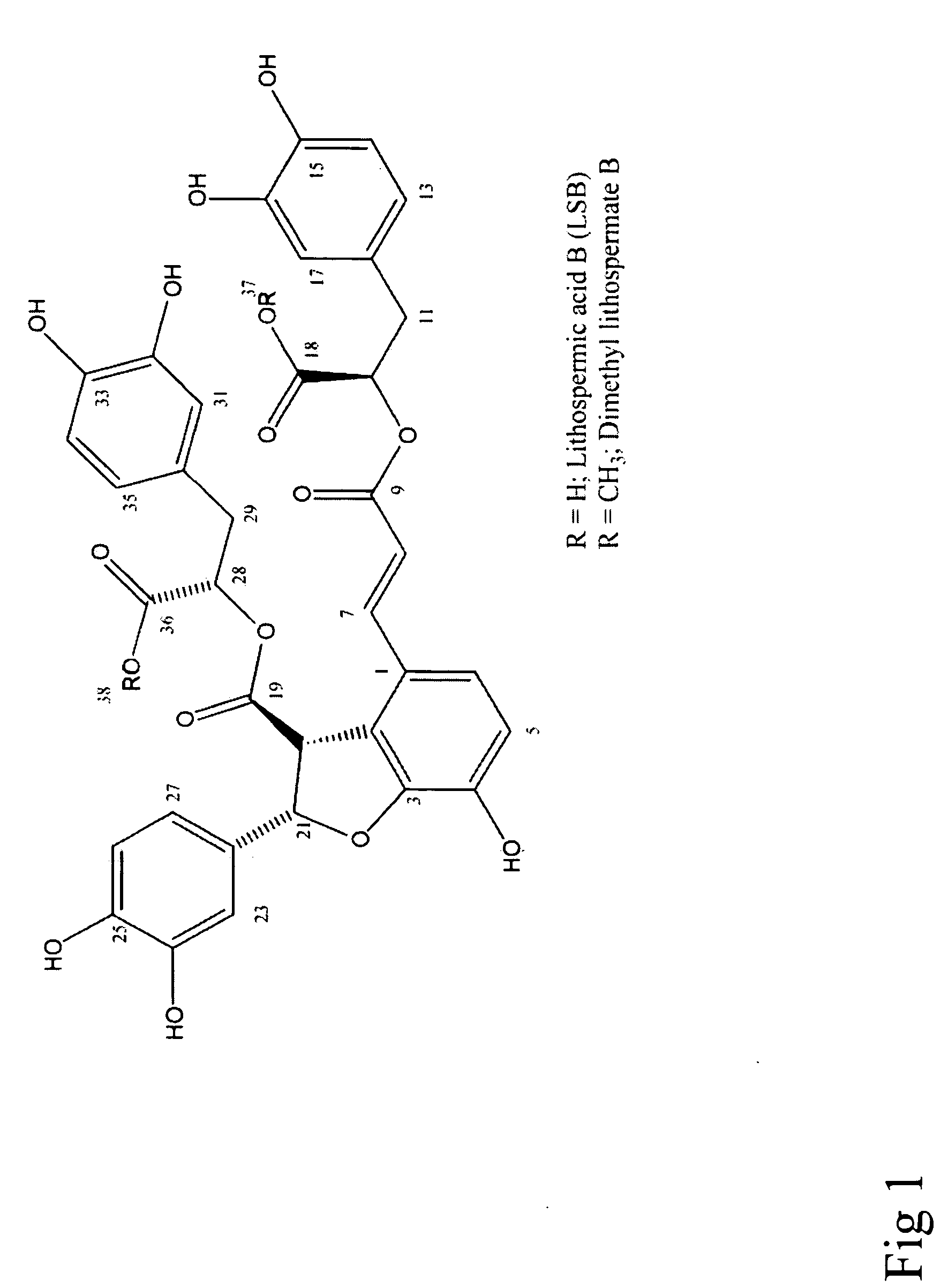 Sodium channel agonist