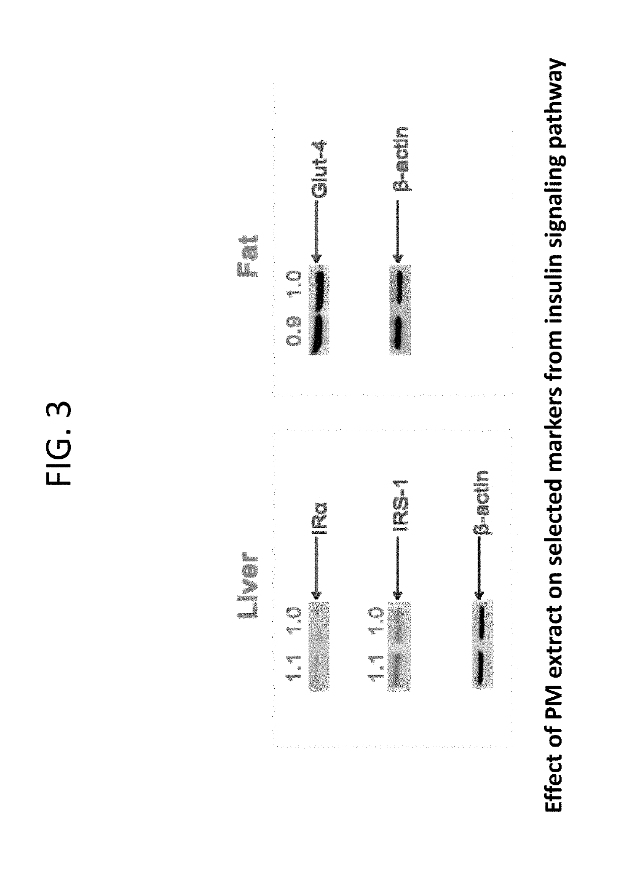 Composition containing stilbene glycoside and preparation and uses thereof for treating diabetes