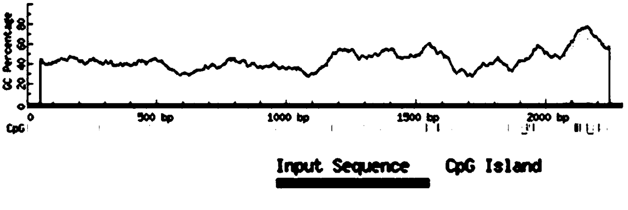 Method for quantitative PCR detection of maspin gene methylation state and application thereof