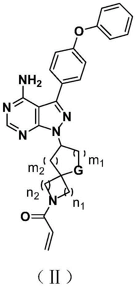 Bruton tyrosine kinase inhibitor with spiro or bridge ring structure and preparation method thereof