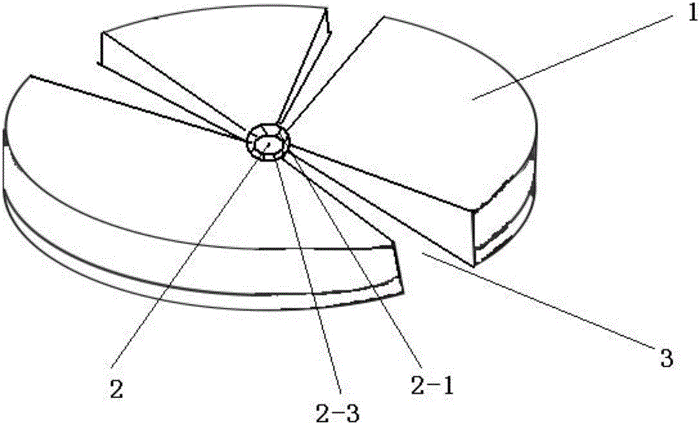 Button capable of being overturned on both sides