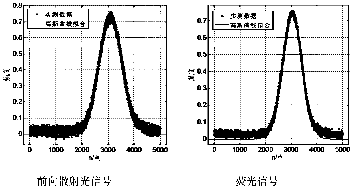Fluorescence service life characterization method for pulse delay estimation